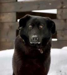 Танзания Б 173